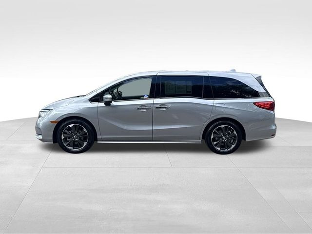 2024 Honda Odyssey Elite