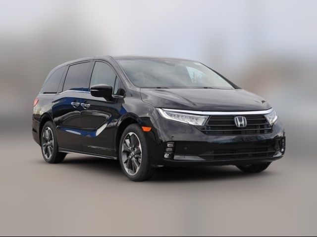 2024 Honda Odyssey Elite