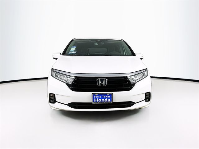 2024 Honda Odyssey Elite