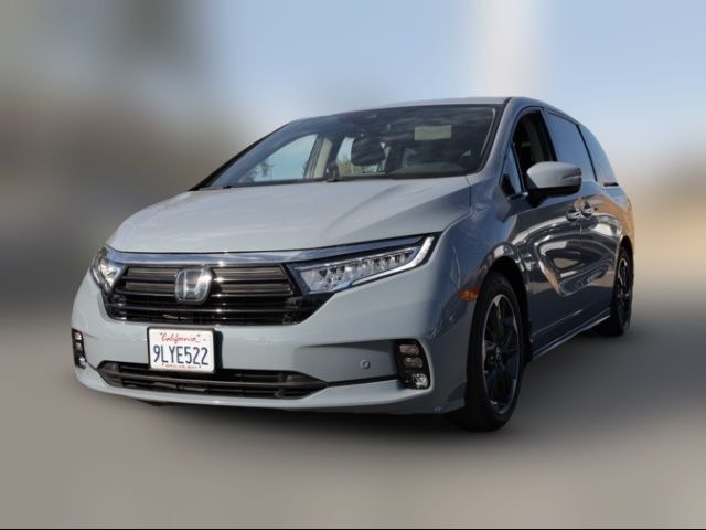 2024 Honda Odyssey Elite