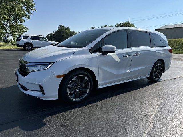 2024 Honda Odyssey Elite