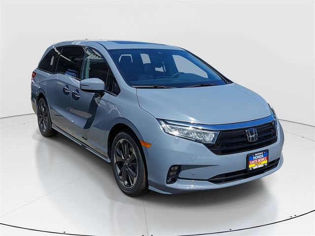 2024 Honda Odyssey Elite