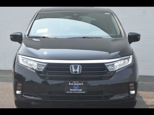 2024 Honda Odyssey Elite