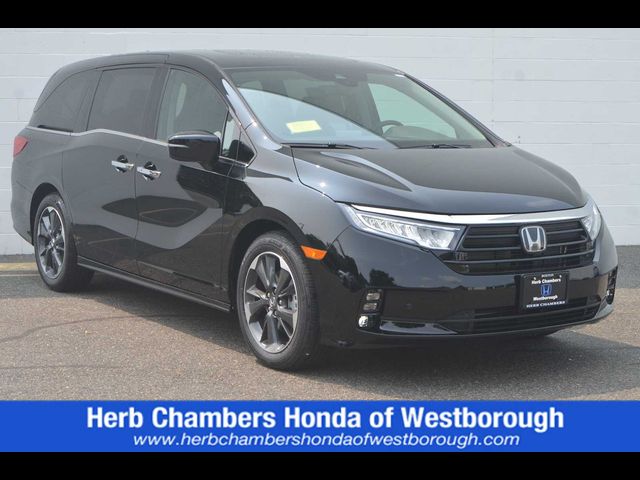 2024 Honda Odyssey Elite