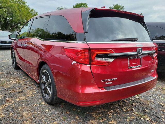 2024 Honda Odyssey Elite