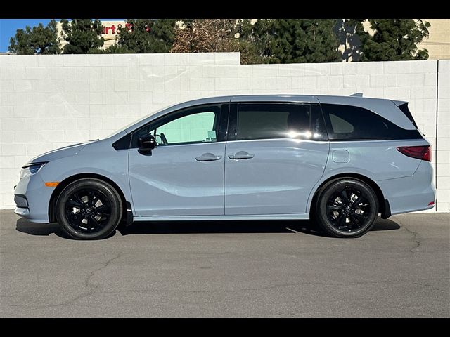 2024 Honda Odyssey Sport