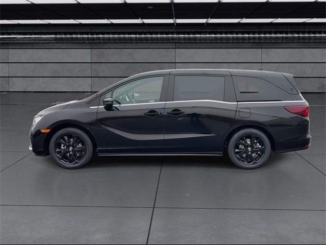 2024 Honda Odyssey Sport