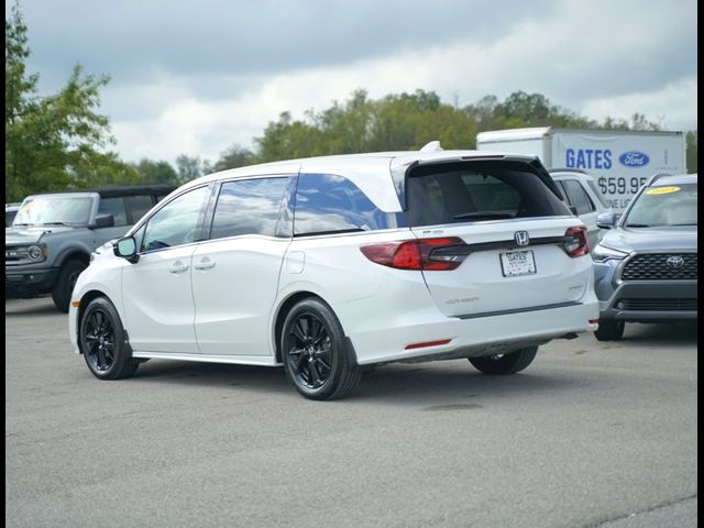 2024 Honda Odyssey Sport