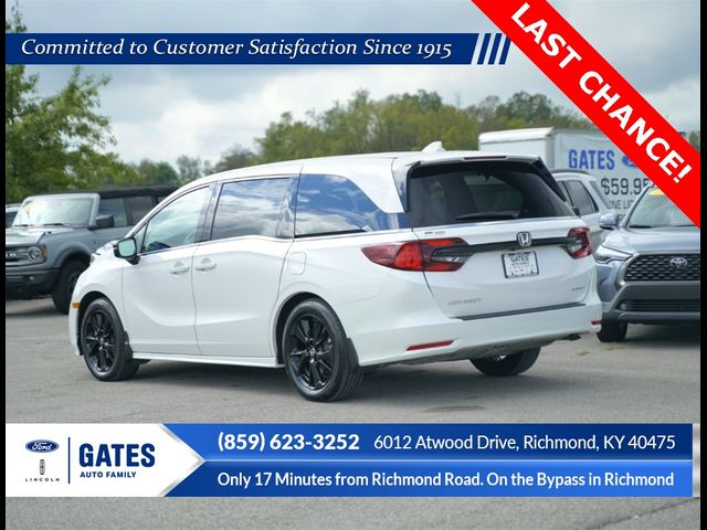 2024 Honda Odyssey Sport