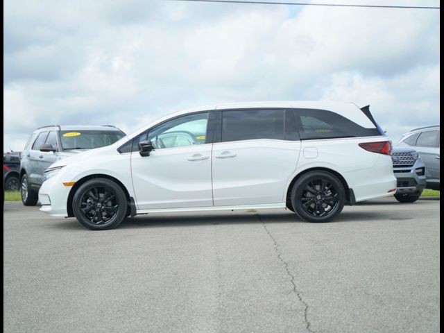 2024 Honda Odyssey Sport