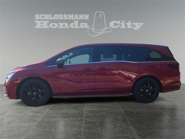 2024 Honda Odyssey Sport