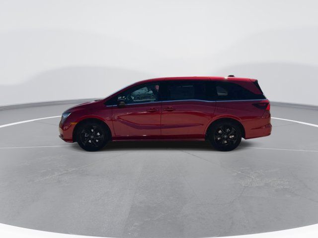 2024 Honda Odyssey Sport