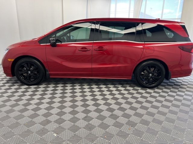 2024 Honda Odyssey Sport