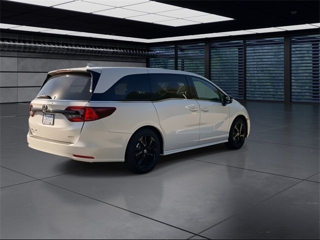 2024 Honda Odyssey Sport