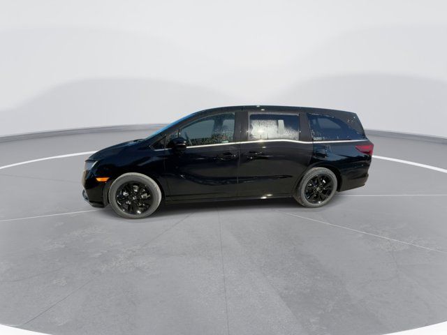 2024 Honda Odyssey Sport