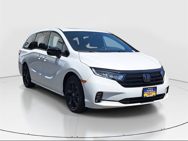 2024 Honda Odyssey Sport