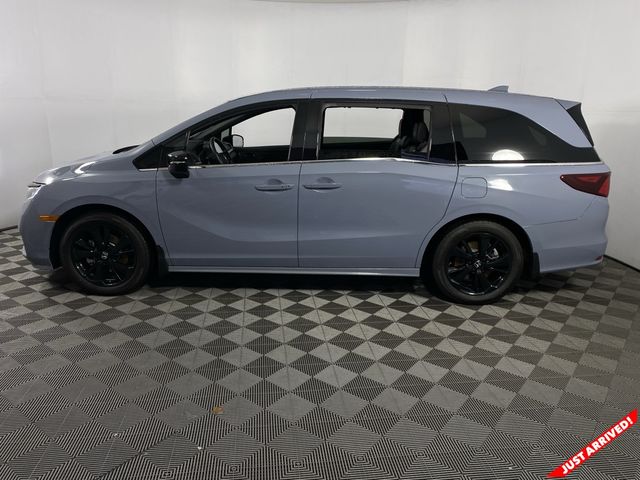 2024 Honda Odyssey Sport