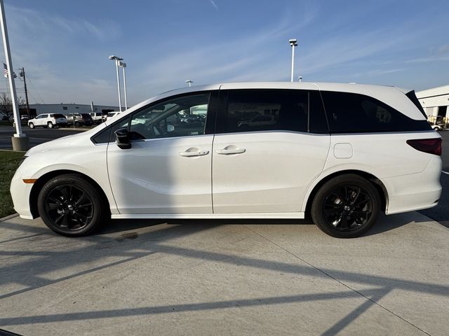 2024 Honda Odyssey Sport