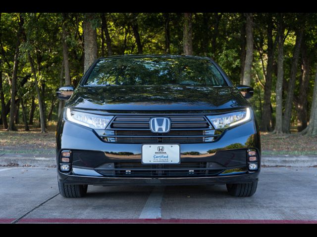 2024 Honda Odyssey Sport