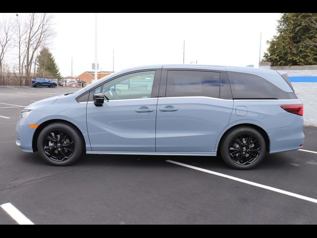 2024 Honda Odyssey Sport