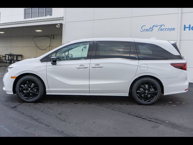 2024 Honda Odyssey Sport