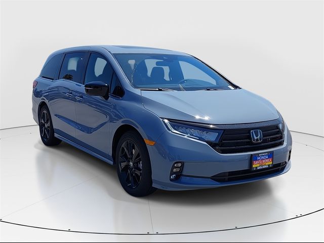 2024 Honda Odyssey Sport