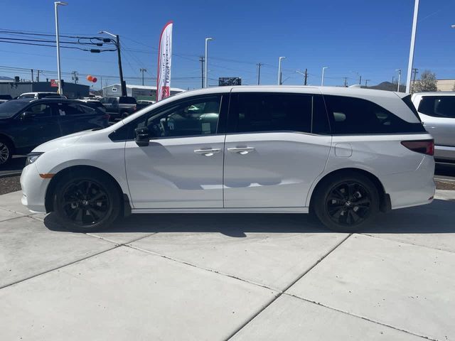 2024 Honda Odyssey Sport