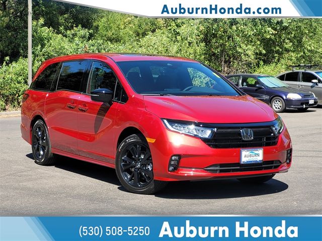 2024 Honda Odyssey Sport