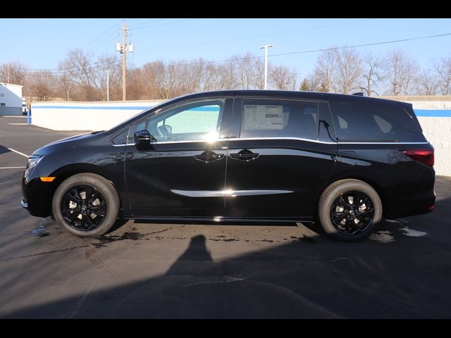 2024 Honda Odyssey Sport