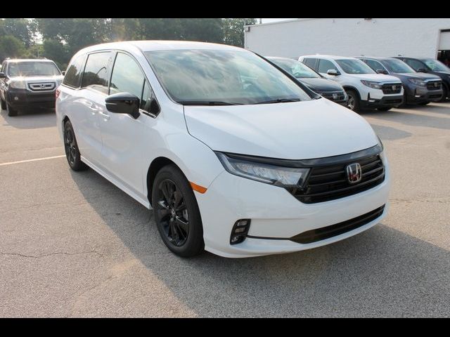 2024 Honda Odyssey Sport