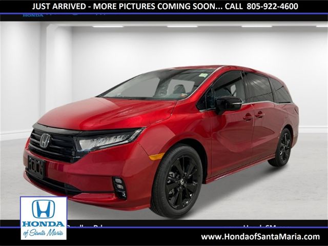 2024 Honda Odyssey Sport