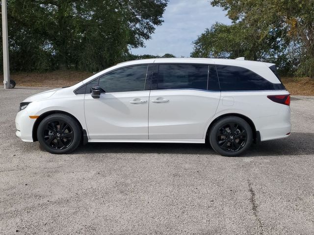 2024 Honda Odyssey Sport