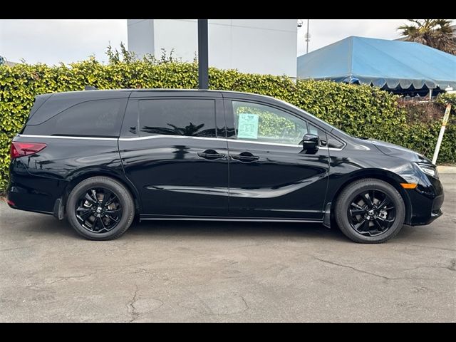 2024 Honda Odyssey Sport