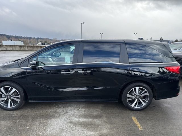 2024 Honda Odyssey Touring