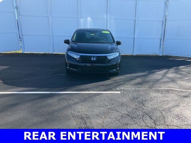 2024 Honda Odyssey Touring