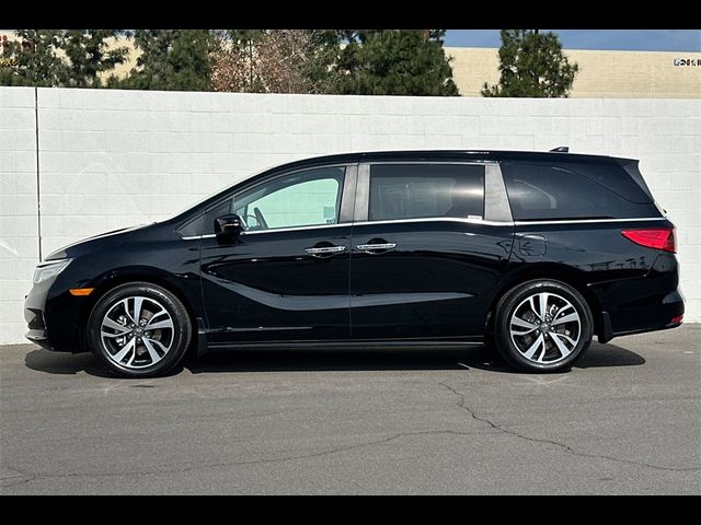 2024 Honda Odyssey Touring