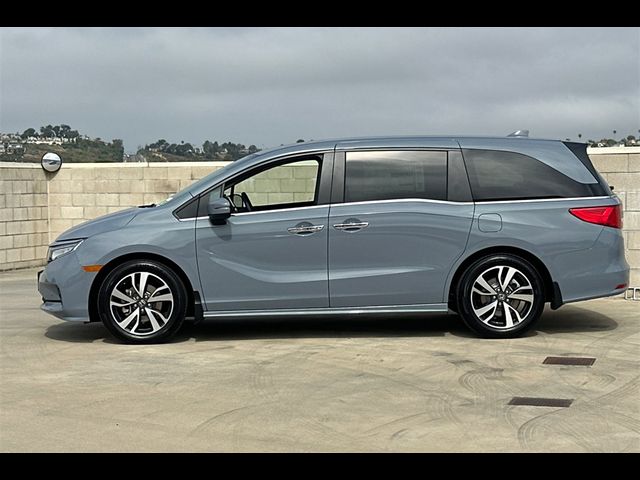 2024 Honda Odyssey Touring