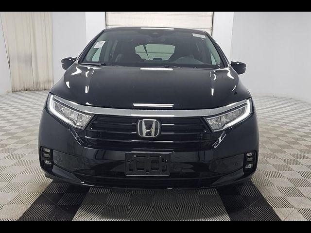 2024 Honda Odyssey Touring