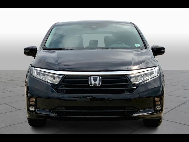 2024 Honda Odyssey Touring