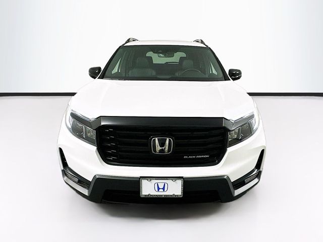 2024 Honda Passport Black Edition