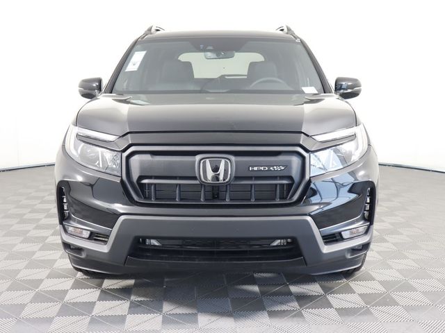 2024 Honda Passport Black Edition