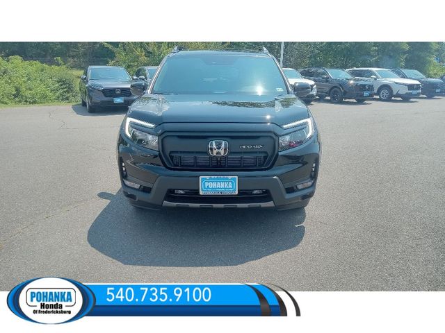 2024 Honda Passport TrailSport