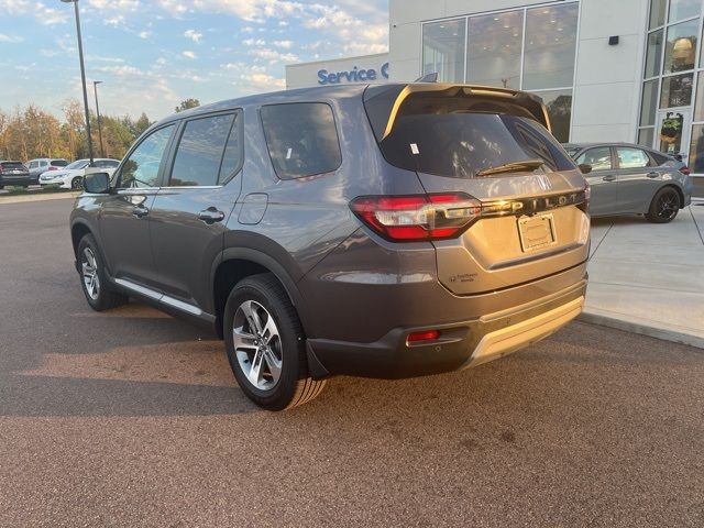 2024 Honda Pilot EX-L 8 Passenger