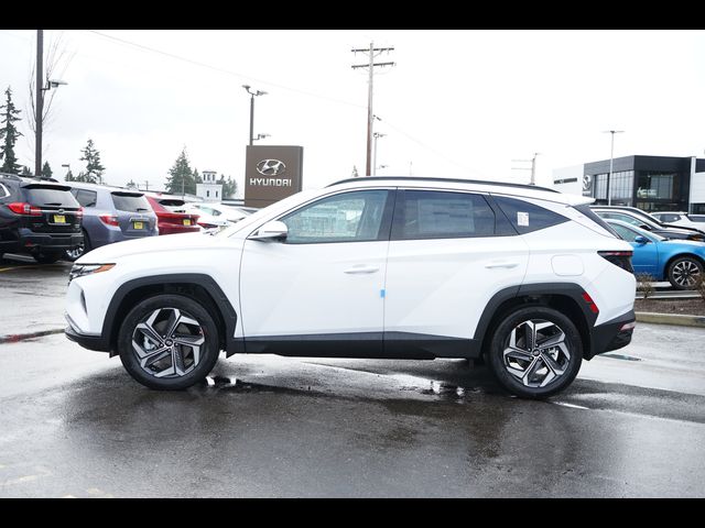 2024 Hyundai Tucson Hybrid Limited