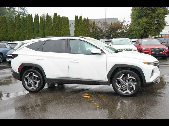 2024 Hyundai Tucson Hybrid Limited