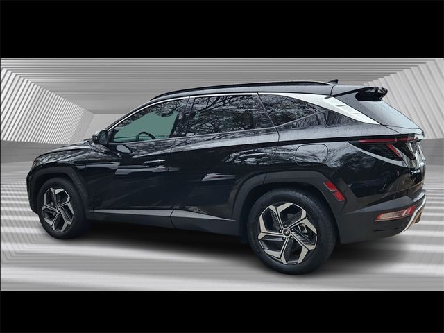 2024 Hyundai Tucson Limited