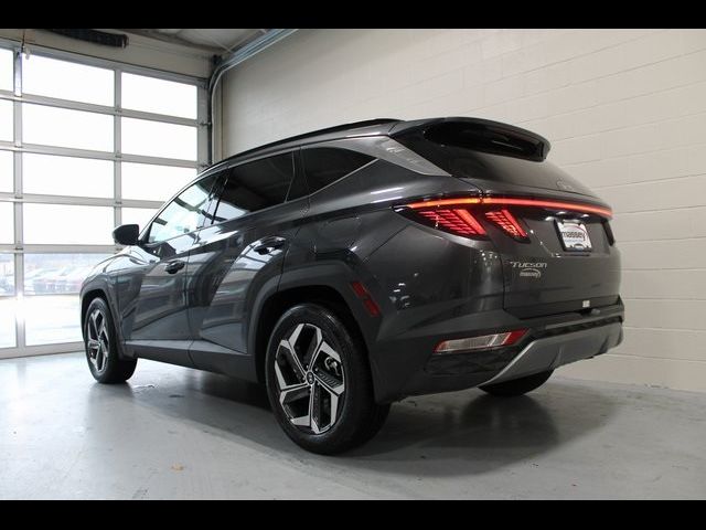 2024 Hyundai Tucson Limited