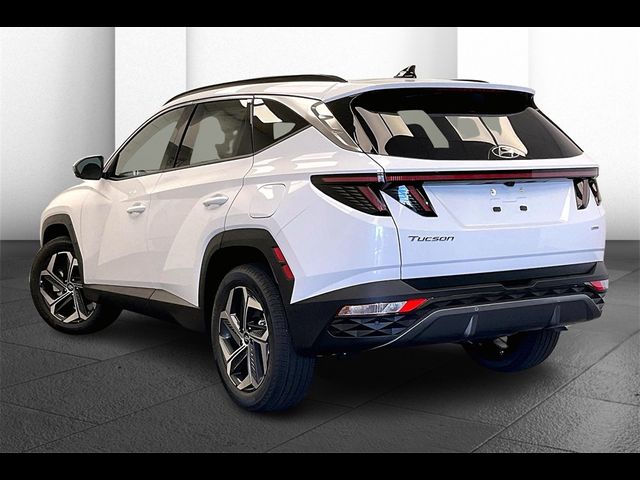 2024 Hyundai Tucson Limited