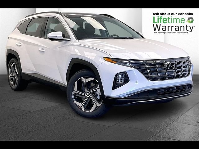 2024 Hyundai Tucson Limited