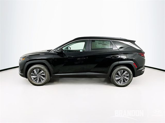 2024 Hyundai Tucson Hybrid Blue